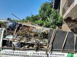 Best Hoarding Cleanup  in USA